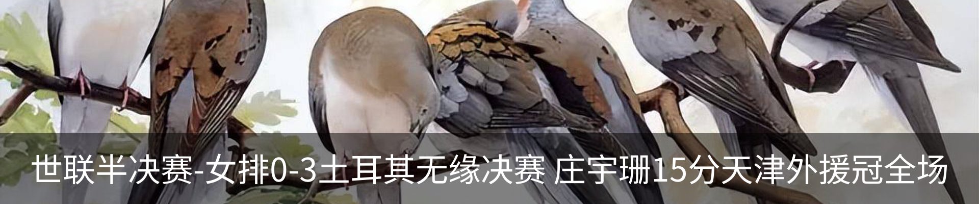 新闻动态