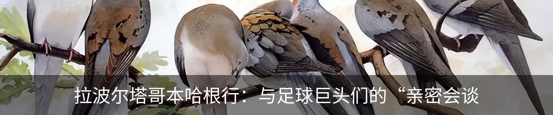 新闻动态
