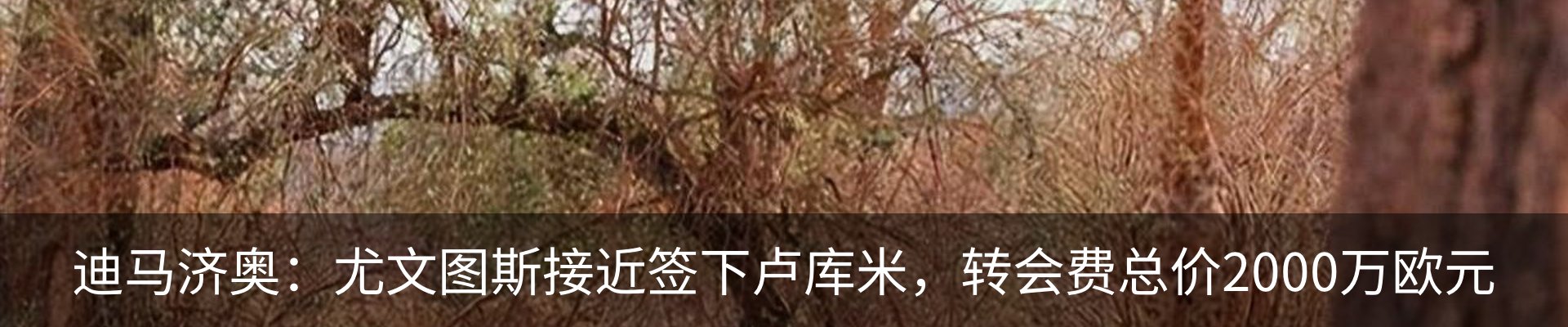 新闻动态